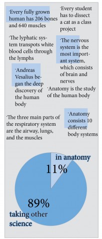 Patterson_infographic