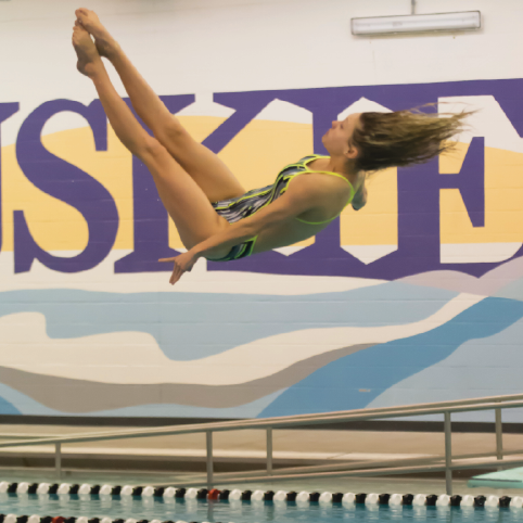 Dive team benefits from previous cheerleading, gymnastic experience