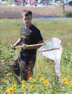 Shaking a net, sophomore Mac Demo walks through the field. “[Catching butterflies] was a fun way to get extra credit for the class,” Demo said.