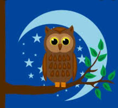 Could being a night owl be harming you?