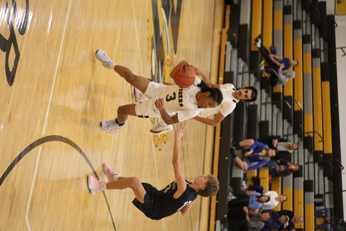 JR_froshBoysBasketball_1216b