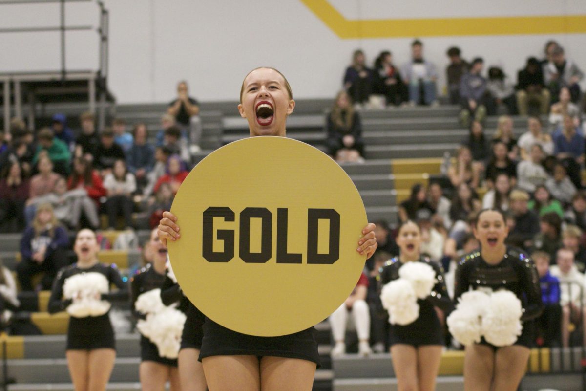 2024-2025 Cheer