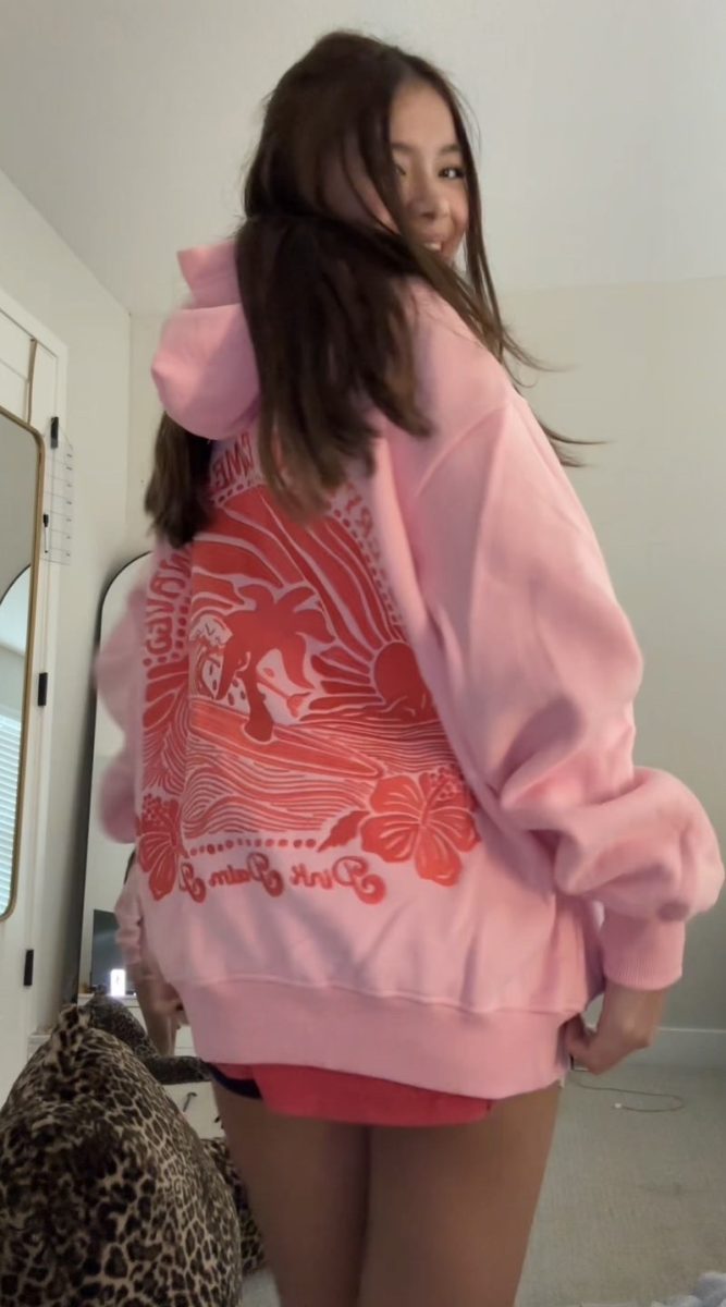 TikTok Famous