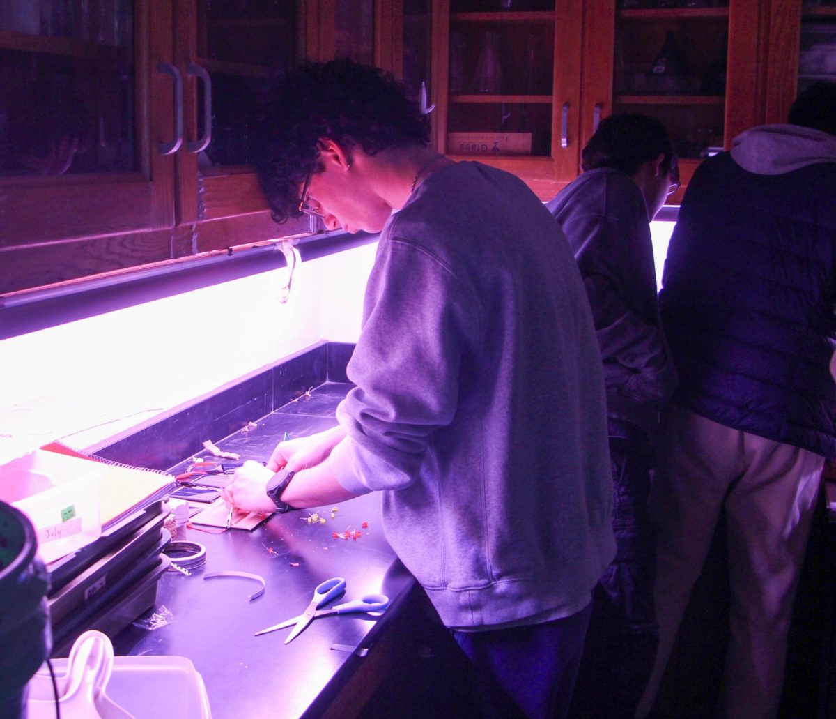 1/21 AP Environmental Science Solar City Lab