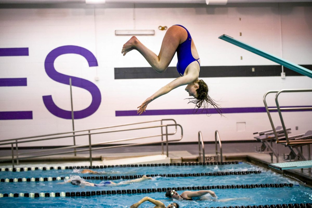 ap_dive_0330g